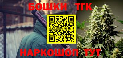 крисы Партизанск