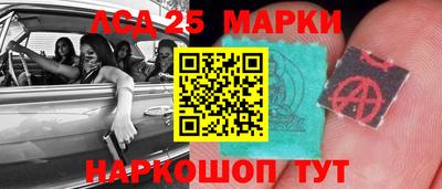 крисы Партизанск