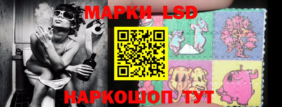 Узловая  Марки N-bome 1,8мг  Вход с VPN 